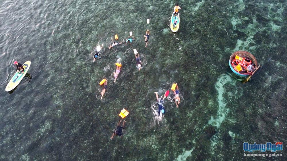 9 vận động viên tranh tài bơi vượt biển ở đảo Lý Sơn