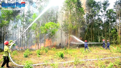 Chủ động phòng cháy, chữa cháy rừng