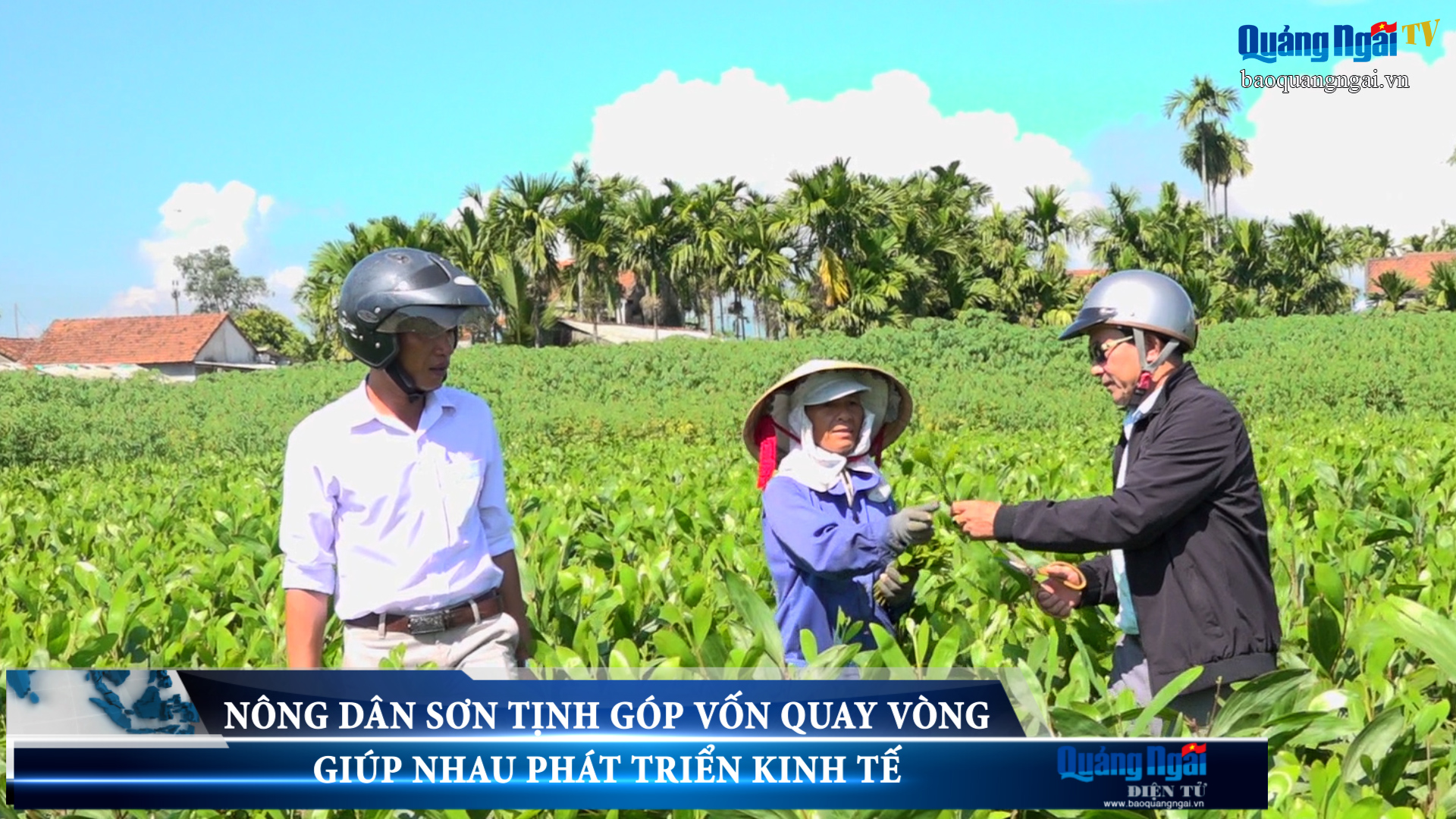 Video: Nông dân Sơn Tịnh góp vốn quay vòng, giúp nhau phát triển kinh tế