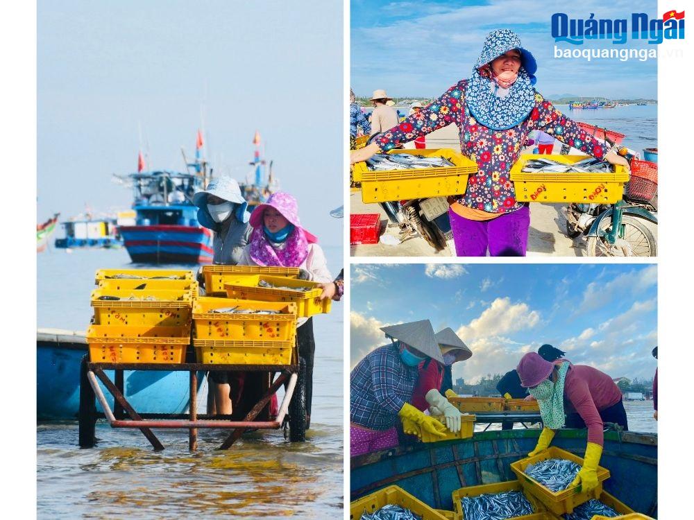 Bình minh ở chợ cá Châu Thuận Biển