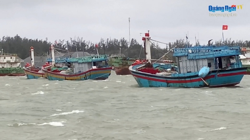 Video: Kêu gọi ngư dân Bình Định vào bờ trước giờ bão đổ bộ