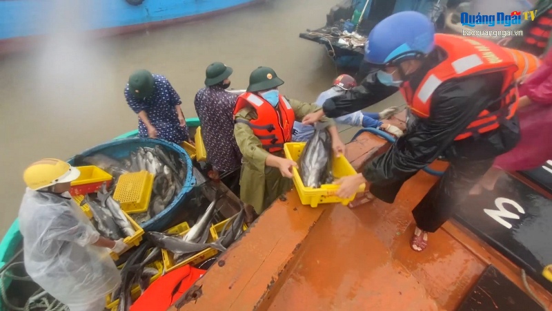 Video: Giúp dân khắc phục thiệt hại bão số 5
