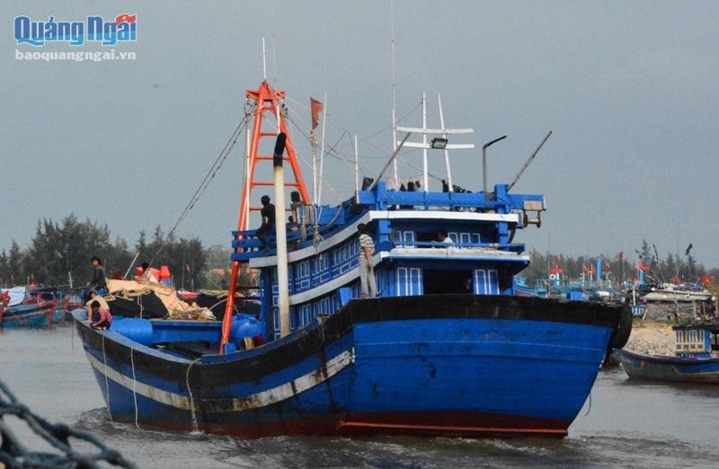 Quảng Ngãi: Cấm tàu, thuyền ra biển hoạt động từ 11 giờ ngày 23/9