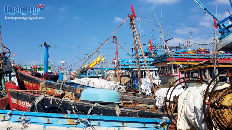 Chuyển đổi loại hình khai thác hải sản: Ngư dân vẫn gặp khó
