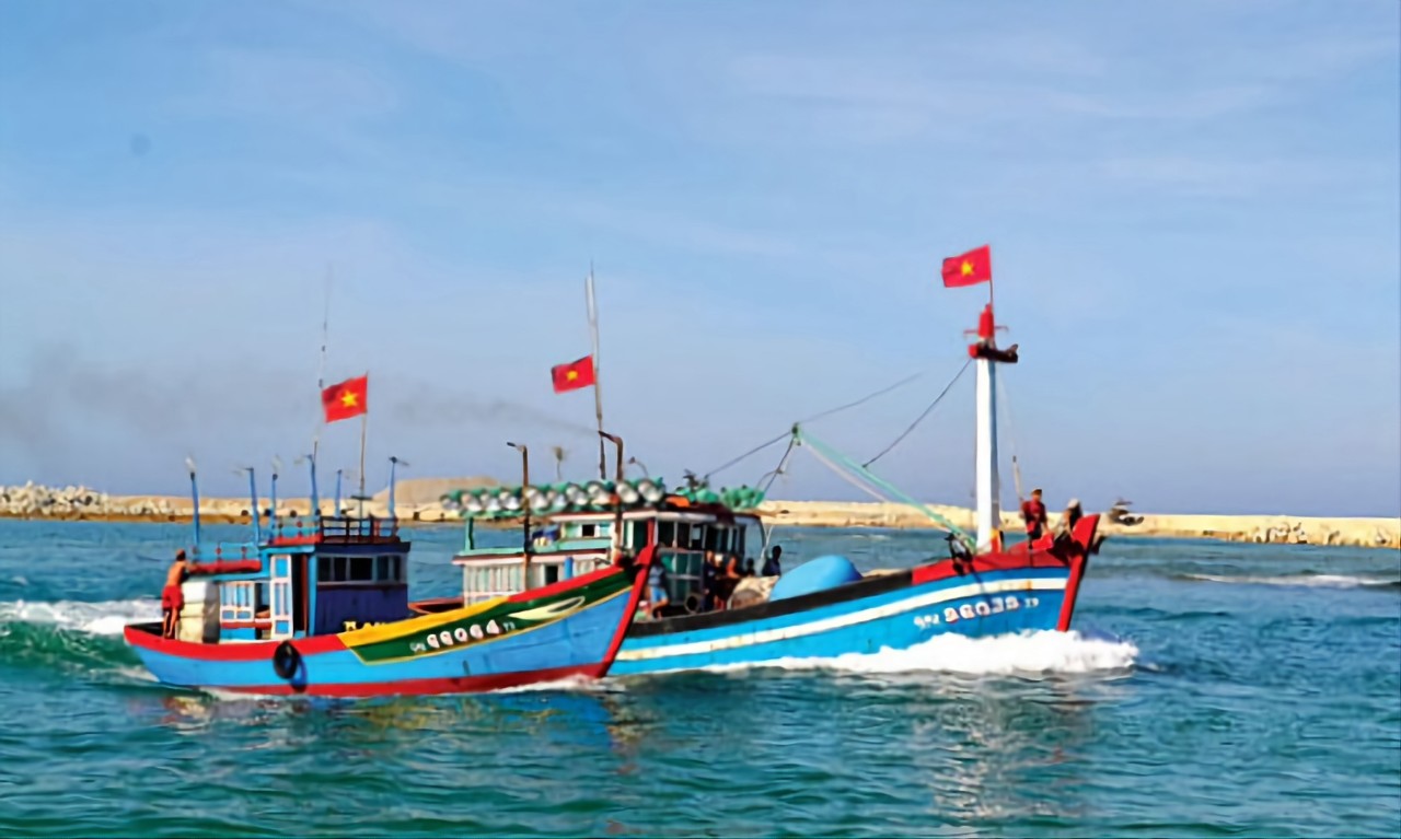 Video: Hàng trăm tàu cá ở Lý Sơn chưa đăng ký, đăng kiểm