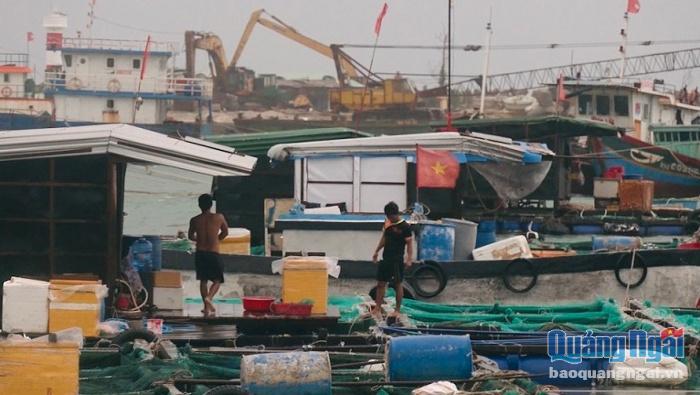 Bão số 5 cũng uy hiếp nhiều lồng bè nuôi cá của ngư dân Lý Sơn.