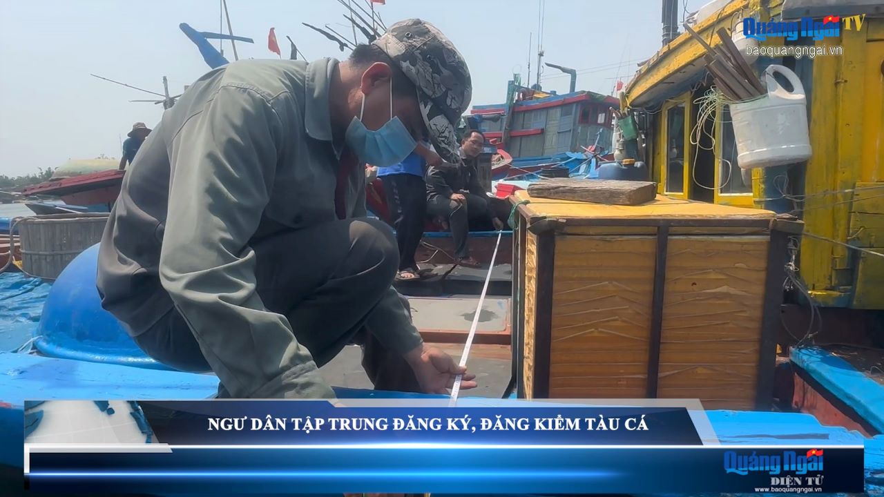 Video: Ngư dân tập trung đăng ký, đăng kiểm tàu cá