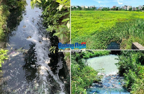 Sớm xử lý ô nhiễm các kênh thoát nước, hồ điều hòa ở TP.Quảng Ngãi