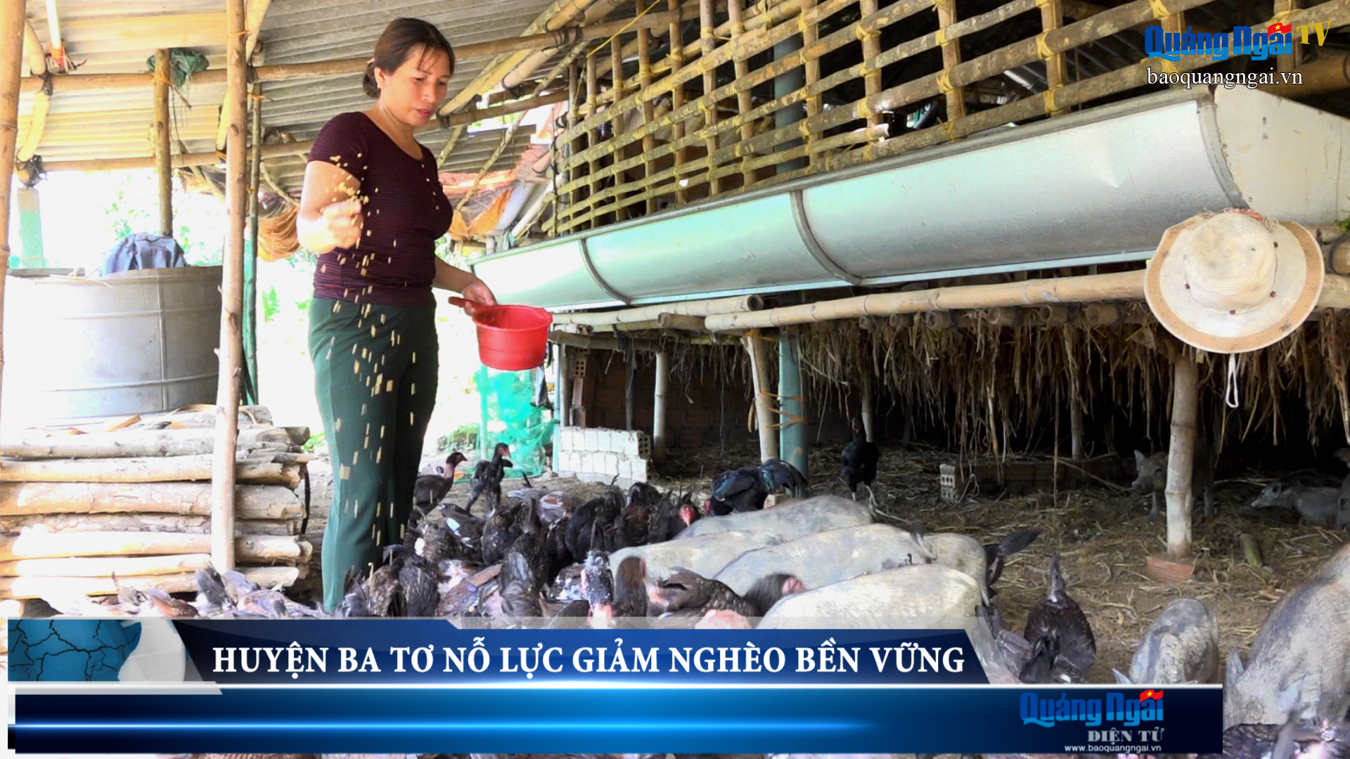 Video: Huyện Ba Tơ nỗ lực giảm nghèo bền vững