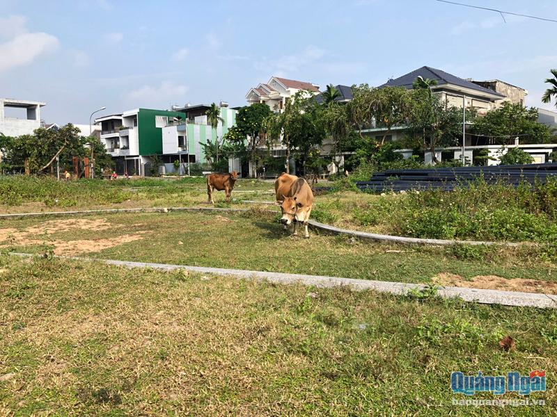 Dự án Khu dân cư Yên Phú: Gần 10 năm thi công vẫn dang dở