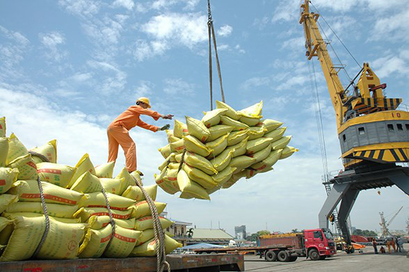 Thị trường xuất khẩu gạo khởi sắc