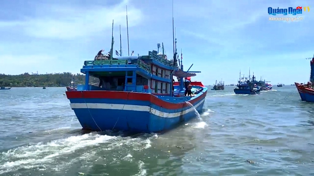 Video: Giá nhiên liệu liên tiếp hạ, ngư dân giảm gánh lo