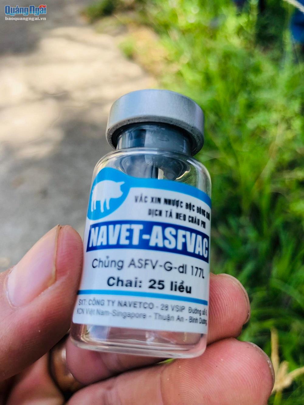 Công ty Navetco phải có trách nhiệm với hộ nuôi heo bị chết do tiêm vắc xin NAVET-ASFVAC