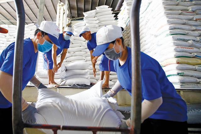Xuất khẩu gạo tiếp tục tăng về sản lượng và giá trị